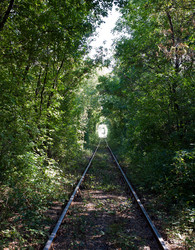 Similar image 8381392