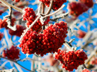 Similar image 8381402