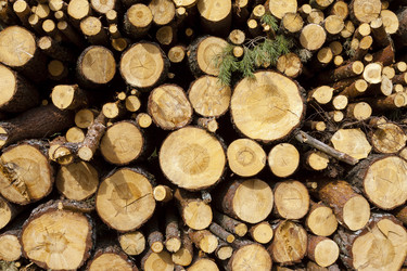 Similar image 8381422