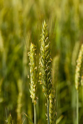 Similar image 8381423