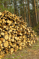 Similar image 8381424