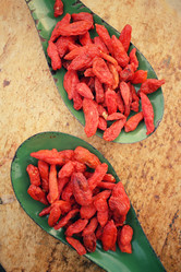 Similar image 8381440