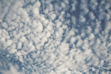 Similar image 8381458