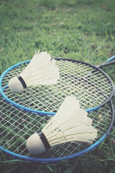 Similar image 8381515