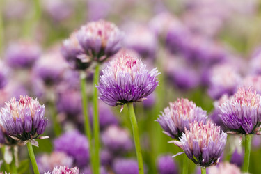 Similar image 8381533