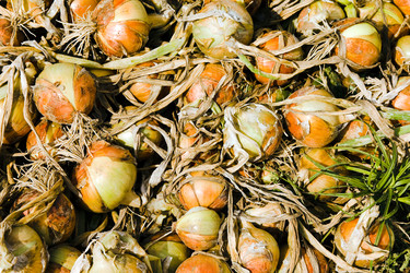 Similar image 8381539