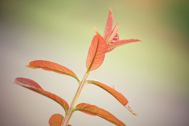 Similar image 8381542