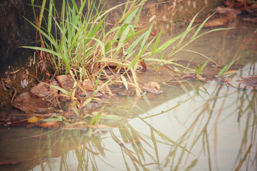 Similar image 8381543