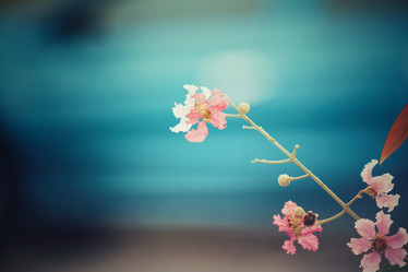 Similar image 8381547