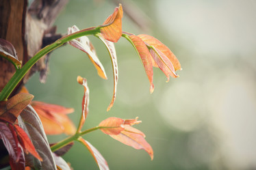 Similar image 8381548