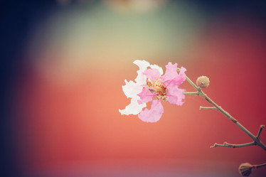 Similar image 8381549