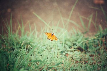 Similar image 8381550