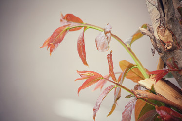 Similar image 8381551