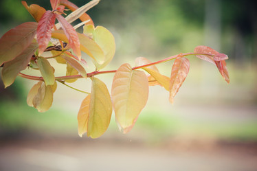 Similar image 8381552