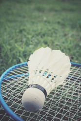 Similar image 8381560