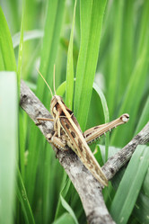 Similar image 8381561