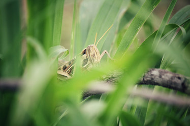 Similar image 8381562