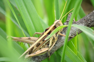 Similar image 8381563