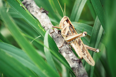 Similar image 8381572