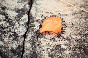 Similar image 8381574