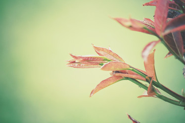 Similar image 8381575