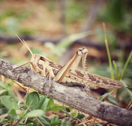 Similar image 8381576