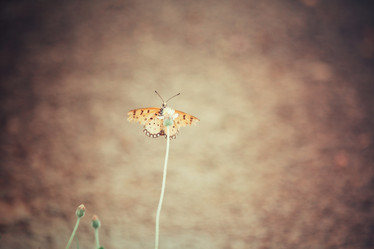 Similar image 8381577