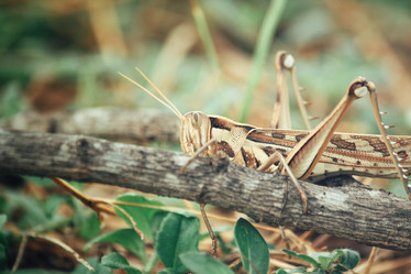 Similar image 8381578