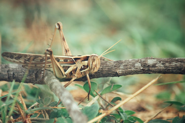 Similar image 8381579