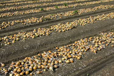 Similar image 8381582