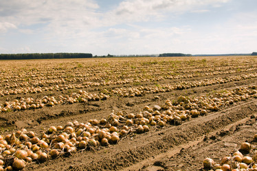 Similar image 8381583