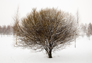 Similar image 8381587