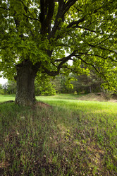 Similar image 8381595