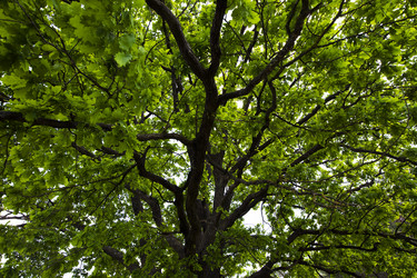 Similar image 8381596