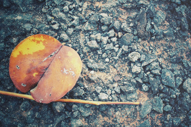 Similar image 8381603