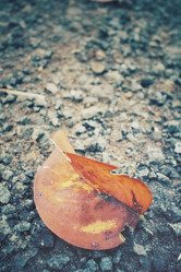 Similar image 8381604