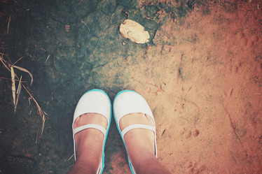 Similar image 8381606