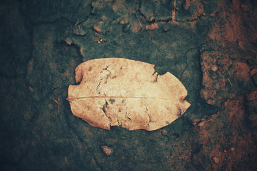 Similar image 8381608