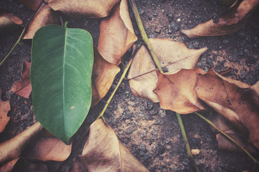 Similar image 8381609