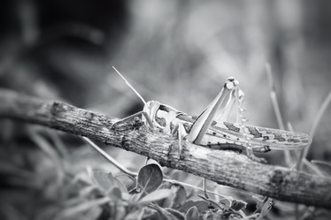 Similar image 8381614