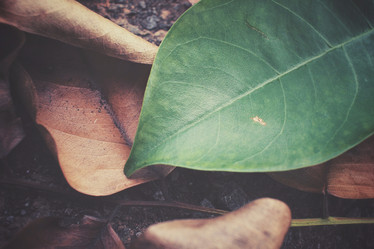 Similar image 8381662