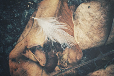 Similar image 8381663