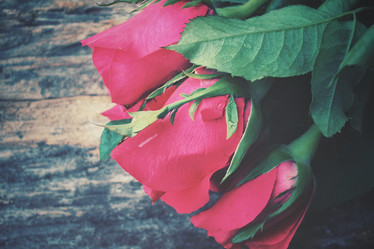 Similar image 8381705