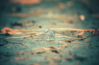 Similar image 8381711