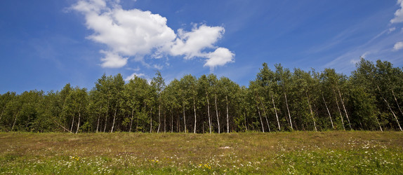 Similar image 8381719