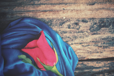 Similar image 8381734