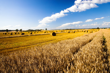 Similar image 8381780