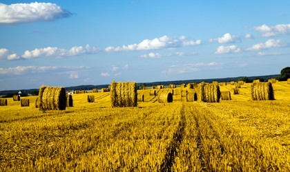 Similar image 8381783