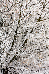 Similar image 8381786