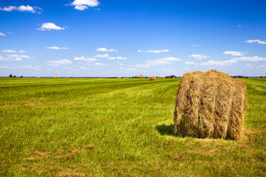 Similar image 8381819